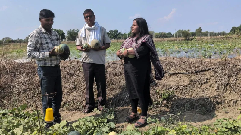 उन्नत उद्यानिकी तकनीकों से सफलता की नई इबारत लिख रहे किसान जसवंत पटेल